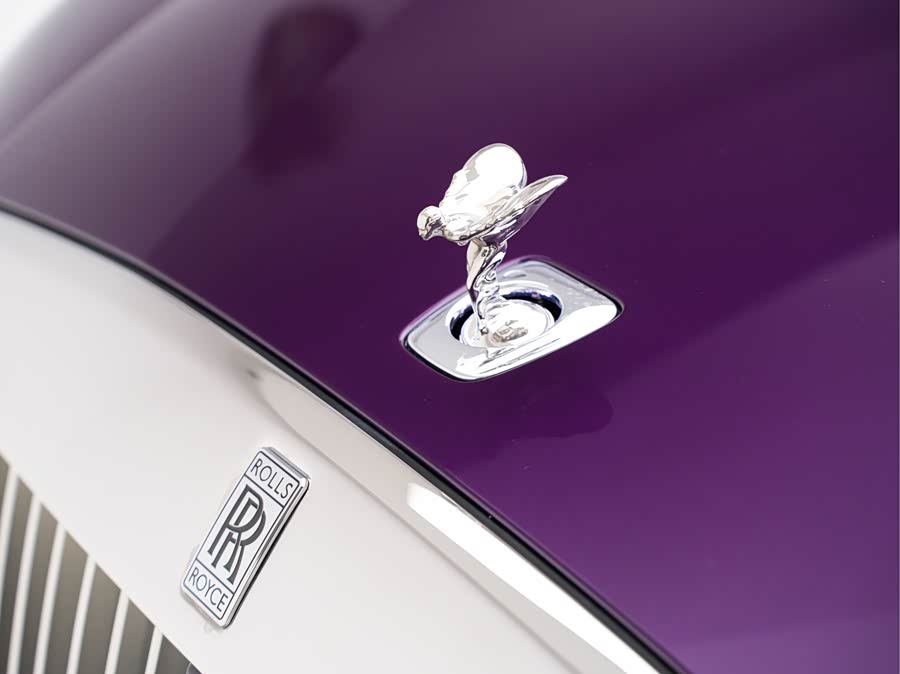 Rolls-Royce Spectre 2024 immagine di auto #11