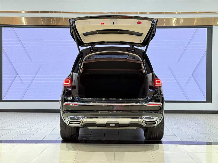 Mercedes-Benz Maybach GLS 2021 car image #11