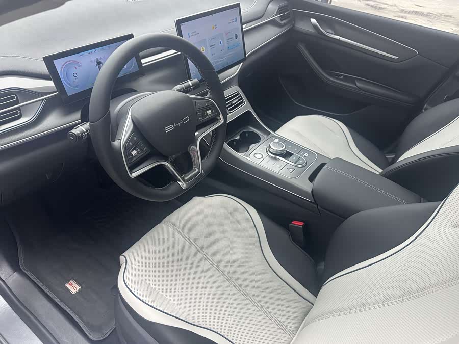 BYD Destroyer 05 2024 car image #11