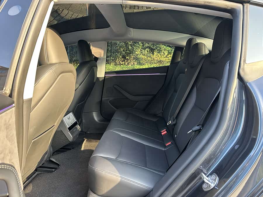 Tesla Model 3 2024 car image #11