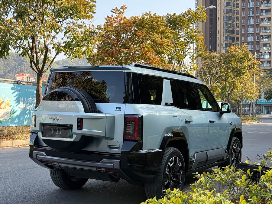 FangChengBao Leopard 8 2024 car image #11