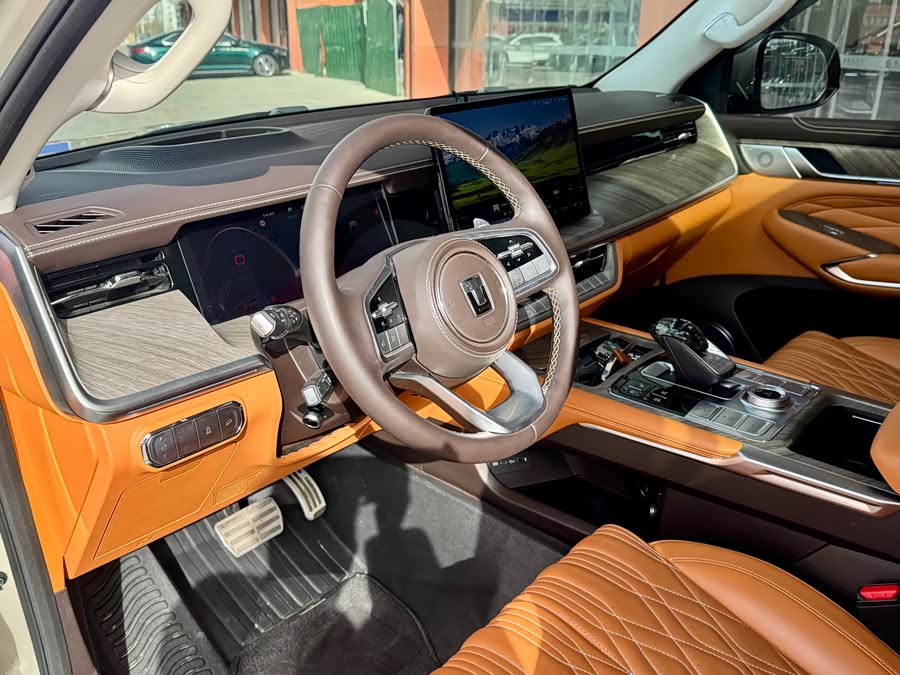 坦克 坦克500 2022 汽车图片 #11