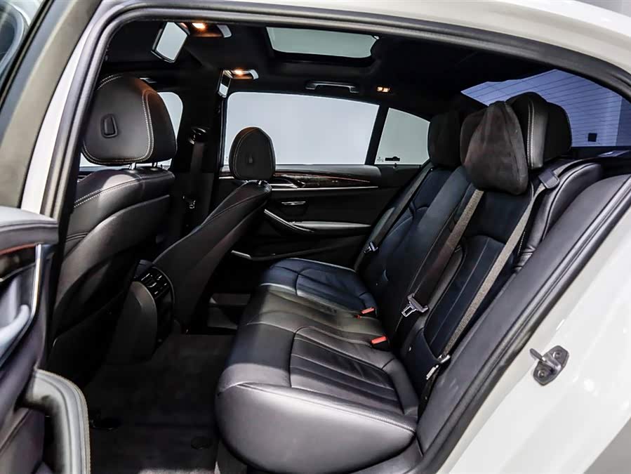 BMW 5 Series 2019 car image #11