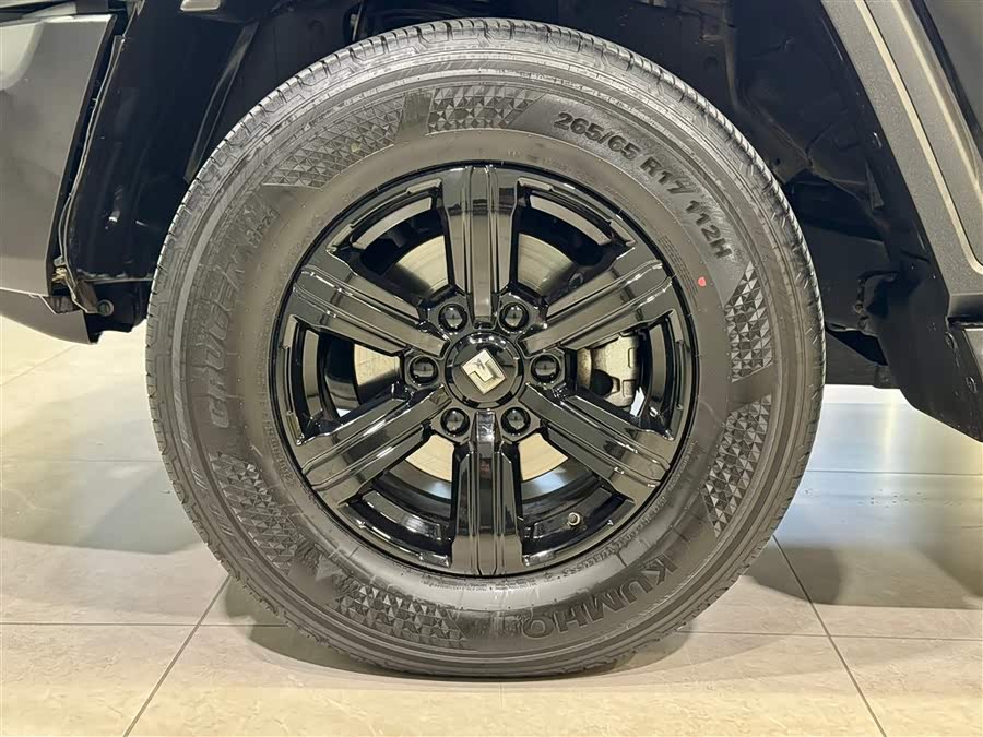 Tank 300 2024 car image #11