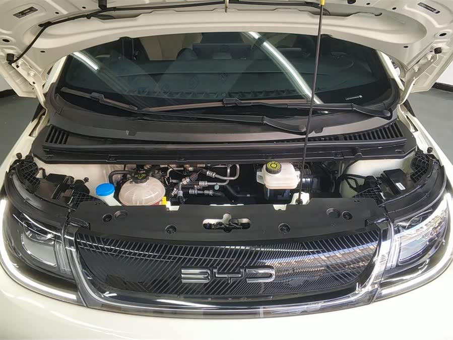 BYD Dolphin 2024 imagem de carro #11