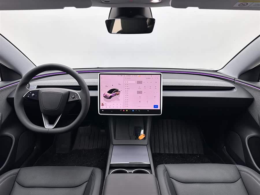 Tesla Model 3 2020 car image #11