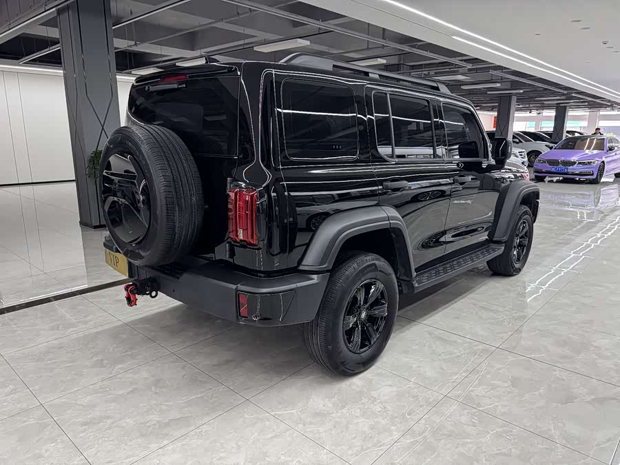 Tank 300 2024 car image #11