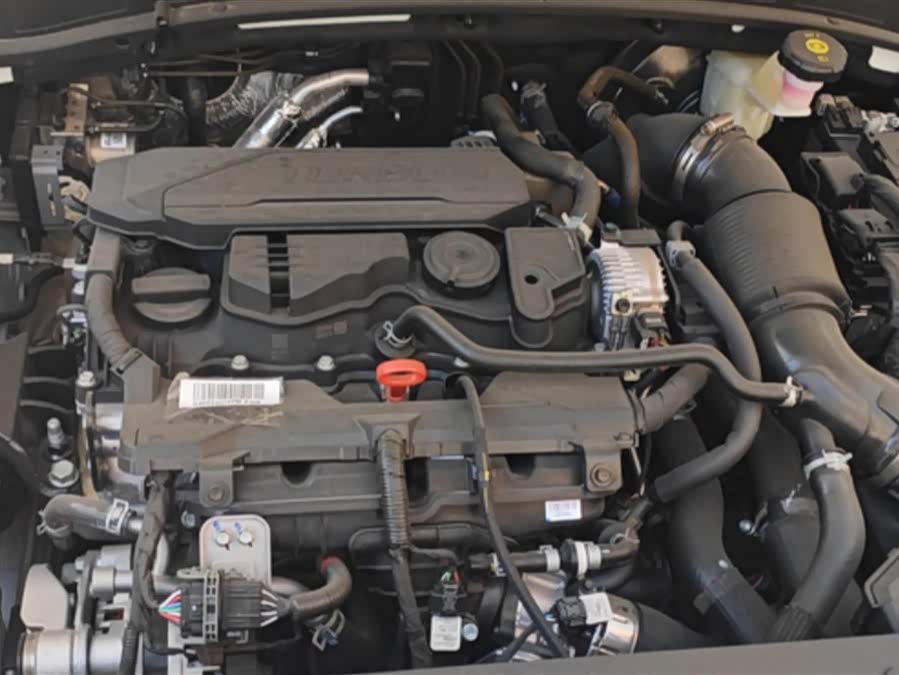 Kia Sportage 2023 car image #11