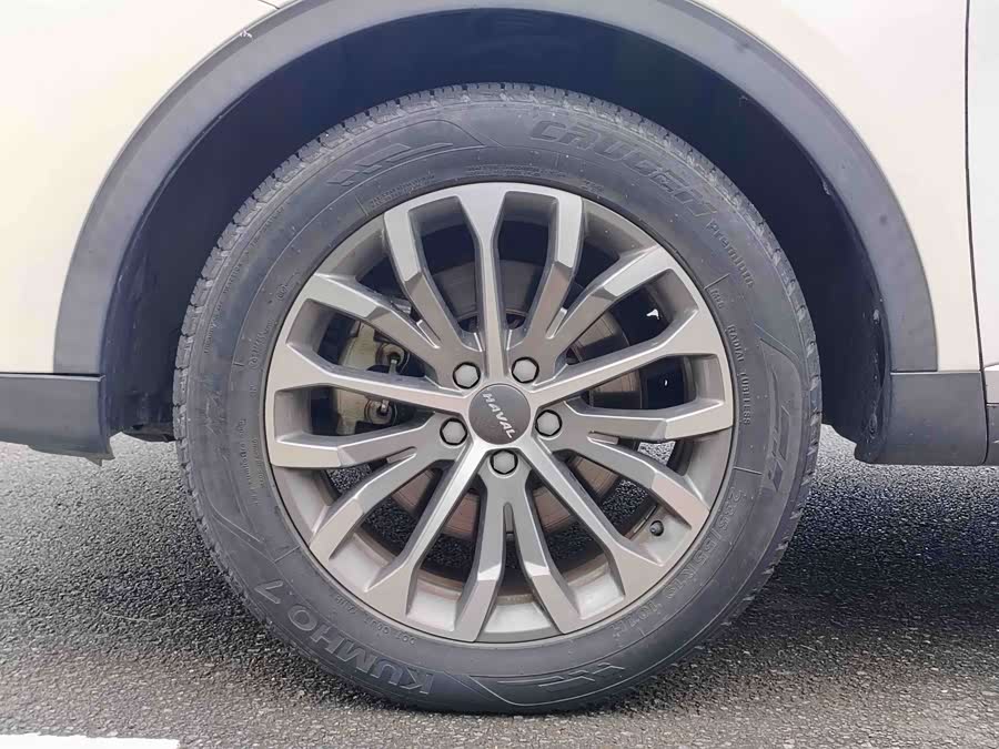 Haval H6 2019 car image #11