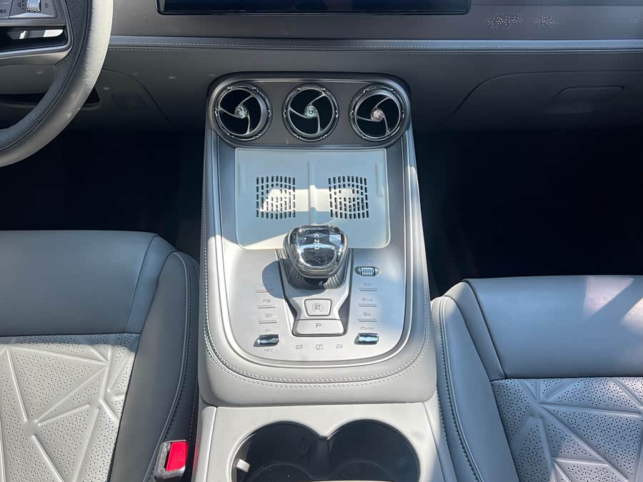 Denza N8 2023 car image #11