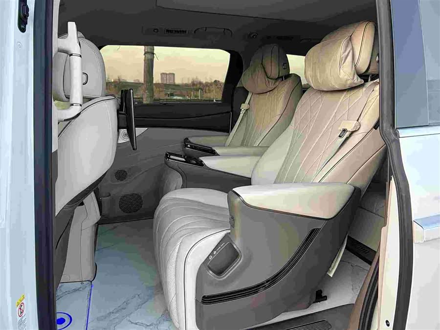 Denza D9 2023 immagine di auto #11