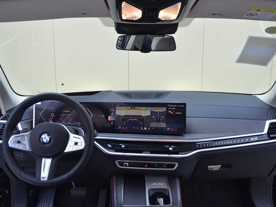 BMW X5 2025 #11 BMW X5 2025 car image #11