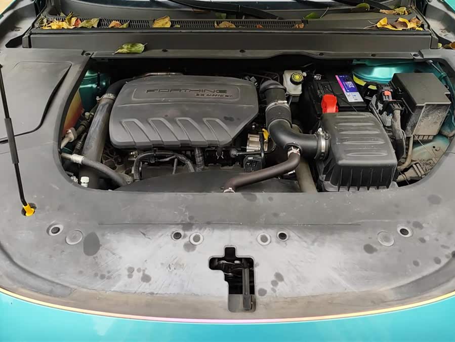 Forthing T5 EVO 2021 car image #11