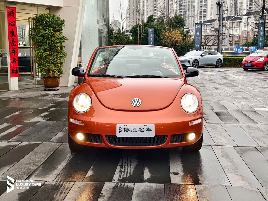 Volkswagen Beetle 2010 immagine di auto #11