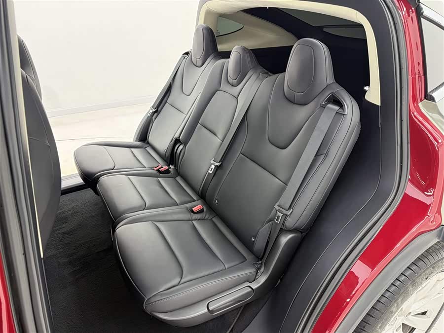 特斯拉 Model X 2019 汽车图片 #11