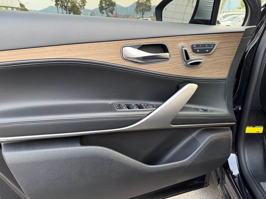 Denza X 2021 car image #11