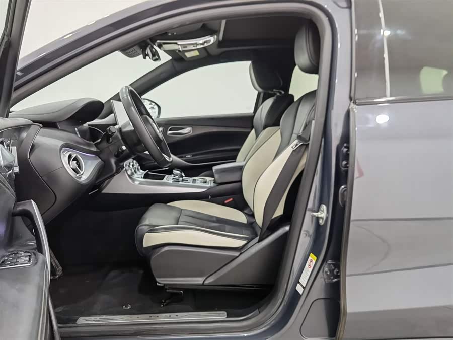 Denza X 2020 imagem de carro #11