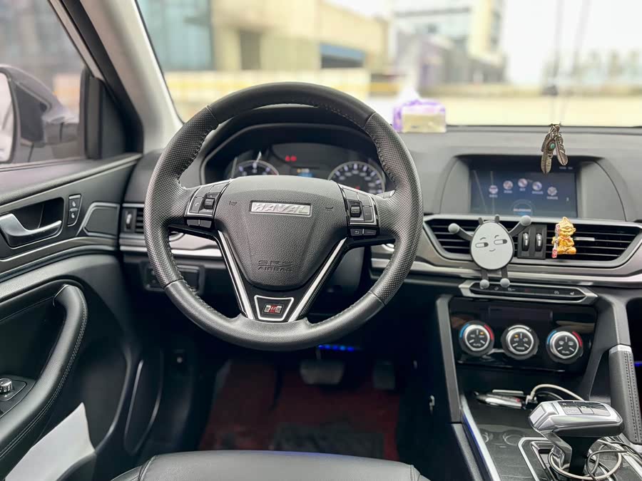 Haval H6 2019 car image #11