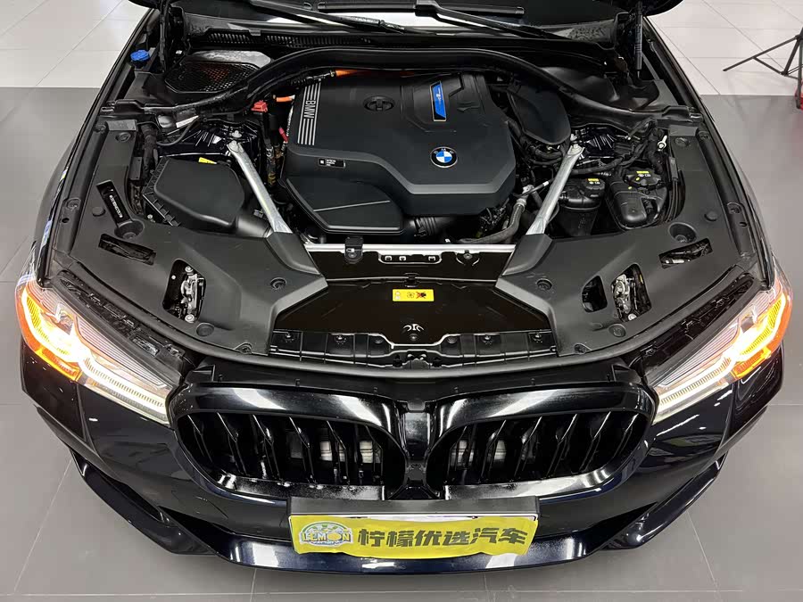 BMW 5 Series New Energy 2021 car image #11