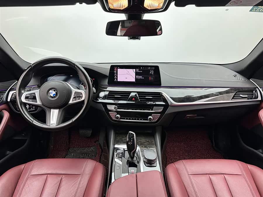 BMW 5 Series 2020 car image #11