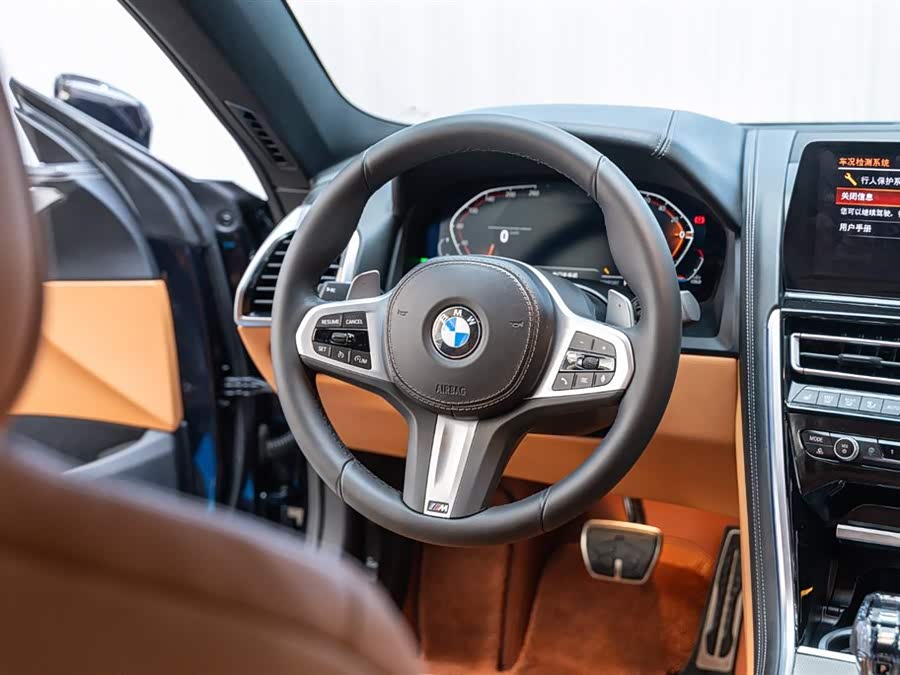 BMW 8 Series 2024 car image #11