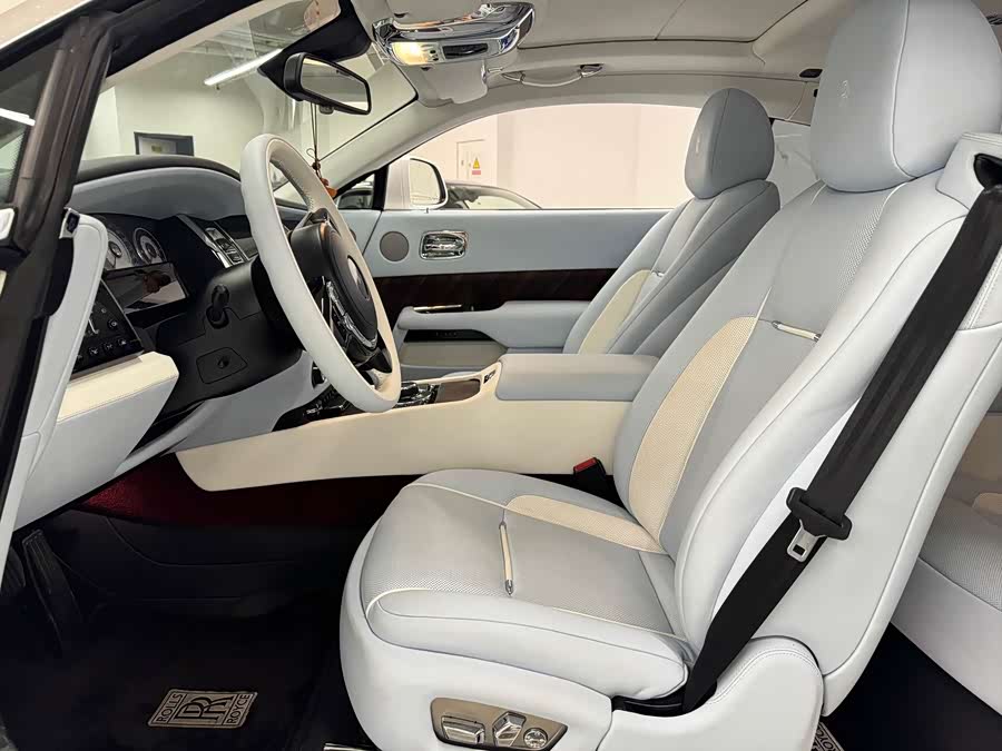 Denza Wraith 2014 car image #11