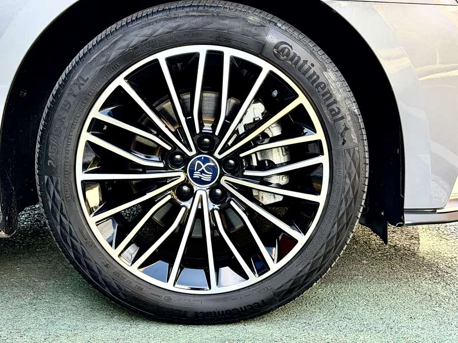 BYD Han 2020 #11 BYD Han 2020 immagine di auto #11