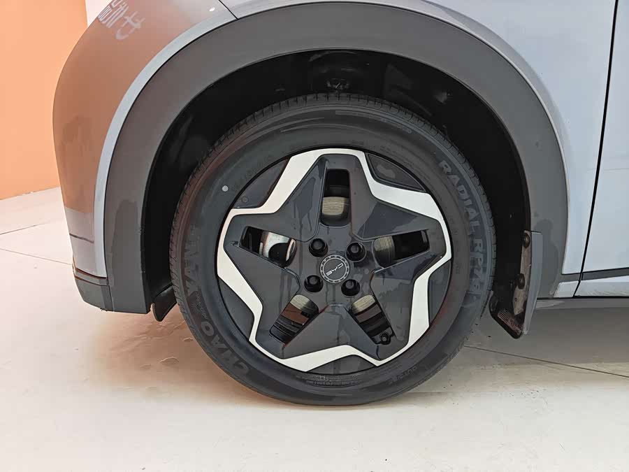 BYD Dolphin 2022 car image #11