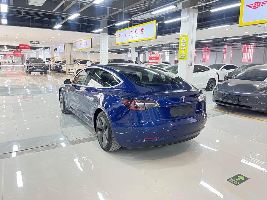 特斯拉 Model 3(进口) 2019 汽车图片 #11