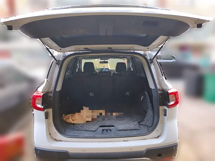 Forthing T5 2022 immagine di auto #11