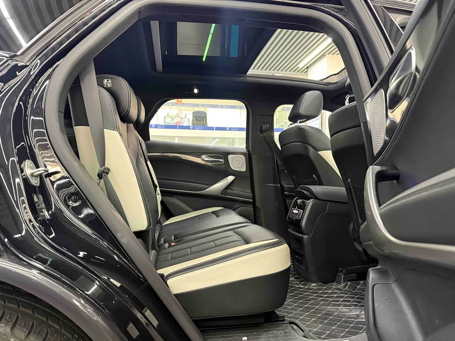 Denza X 2020 car image #11