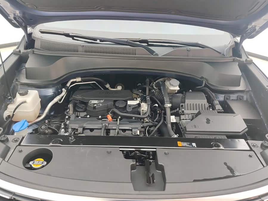 Kia Sportage R 2021 car image #11