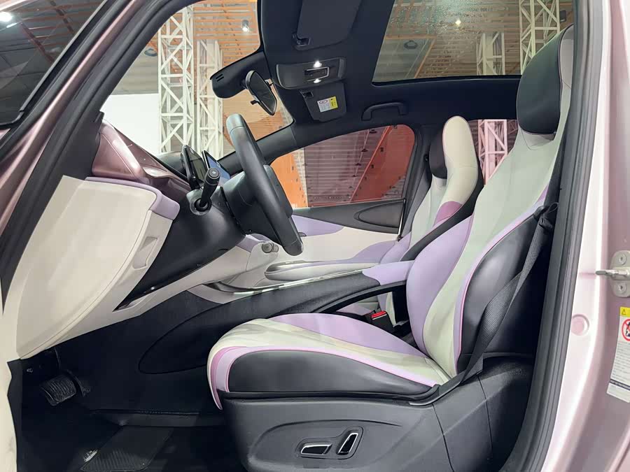BYD Dolphin 2022 #11 BYD Dolphin 2022 immagine di auto #11