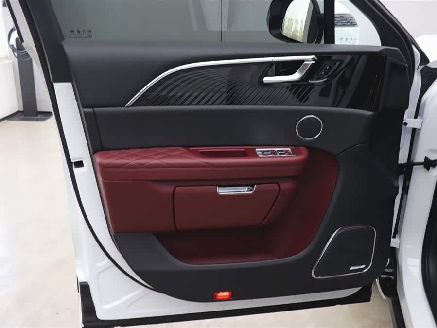 HongQi E-HS9 2023 изображение автомобиля #11