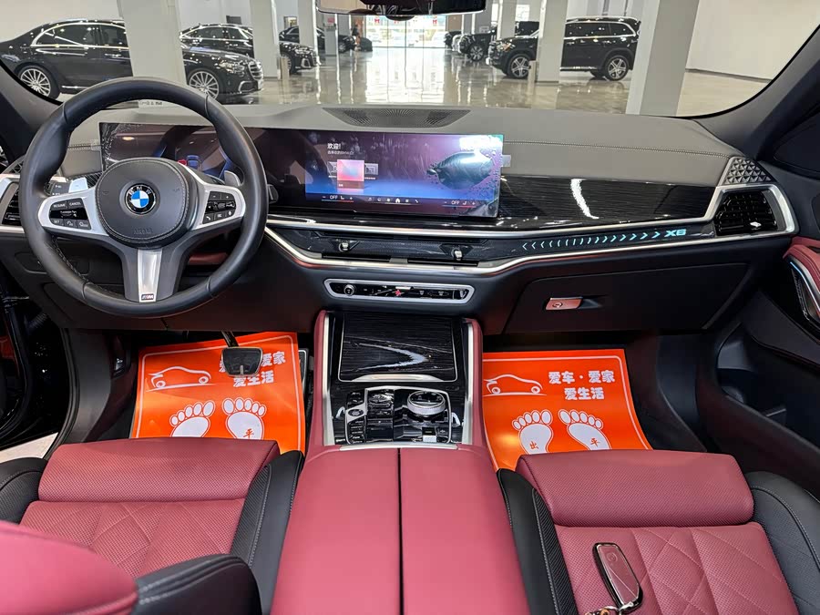 BMW X6 2024 car image #11