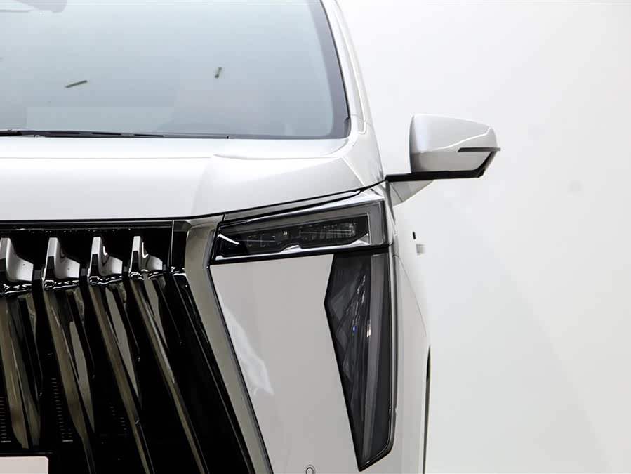 GAC Trumpchi E9 2024 car image #11