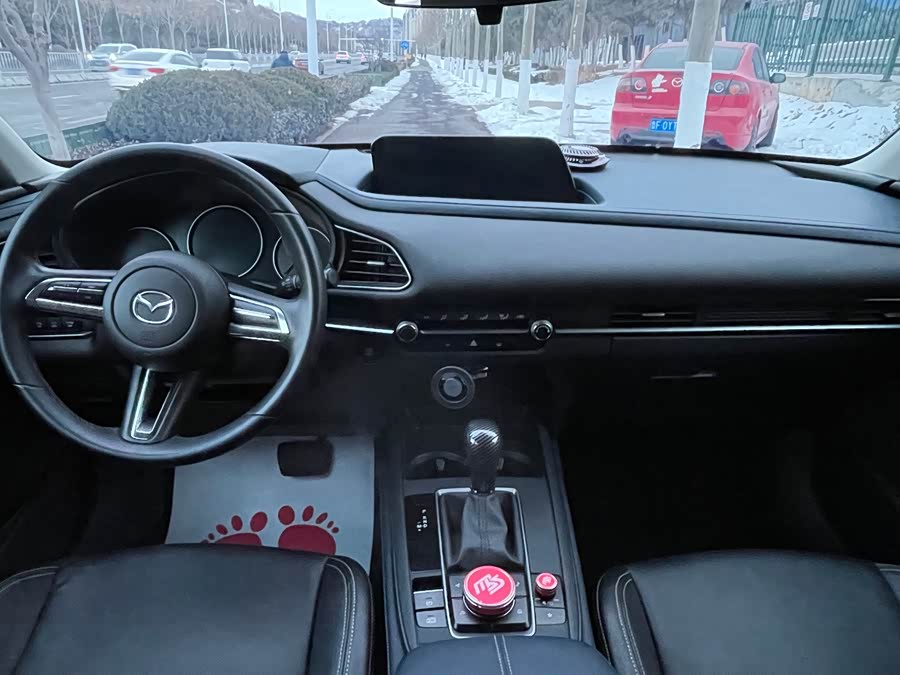 Mazda CX-30 2020 car image #11