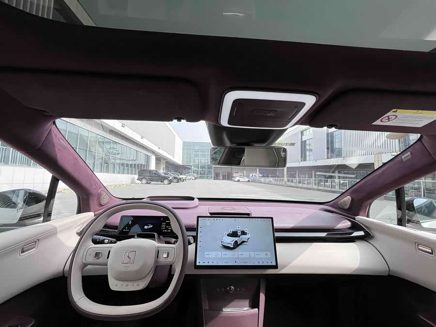 极氪 极氪X 2024 汽车图片 #11