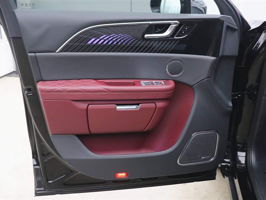 HongQi E-HS9 2023 immagine di auto #11