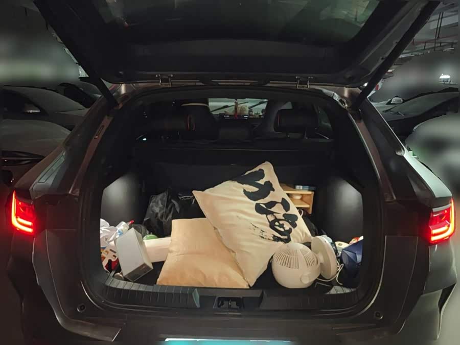 BYD Song Plus 2021 car image #11