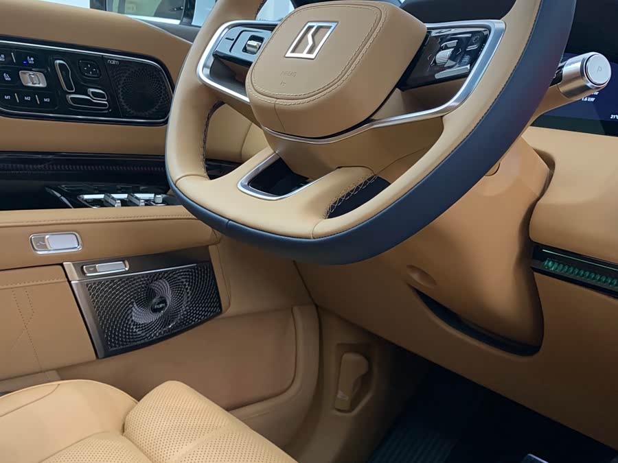 极氪 极氪9X 汽车图片 #11