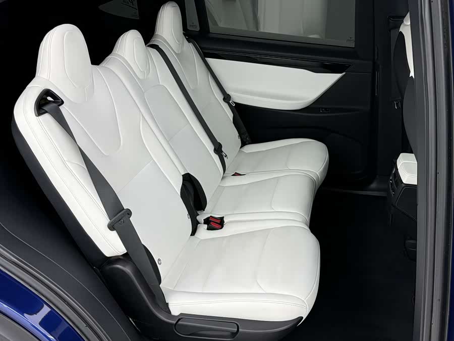 特斯拉 Model X 2019 汽车图片 #11