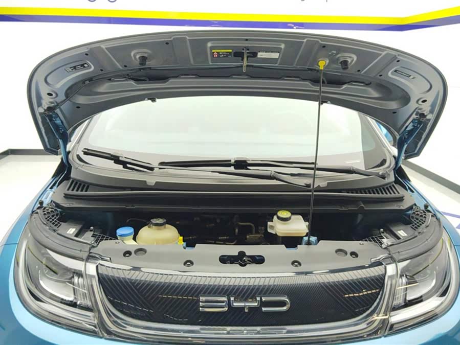 BYD Dolphin 2022 car image #11