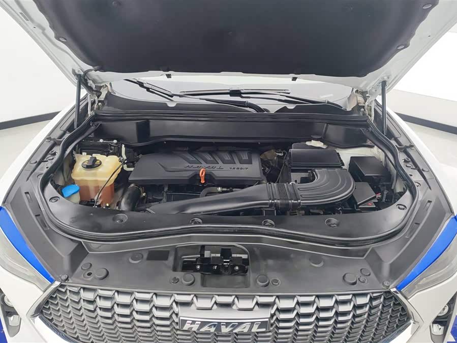 Haval F7 2020 immagine di auto #11