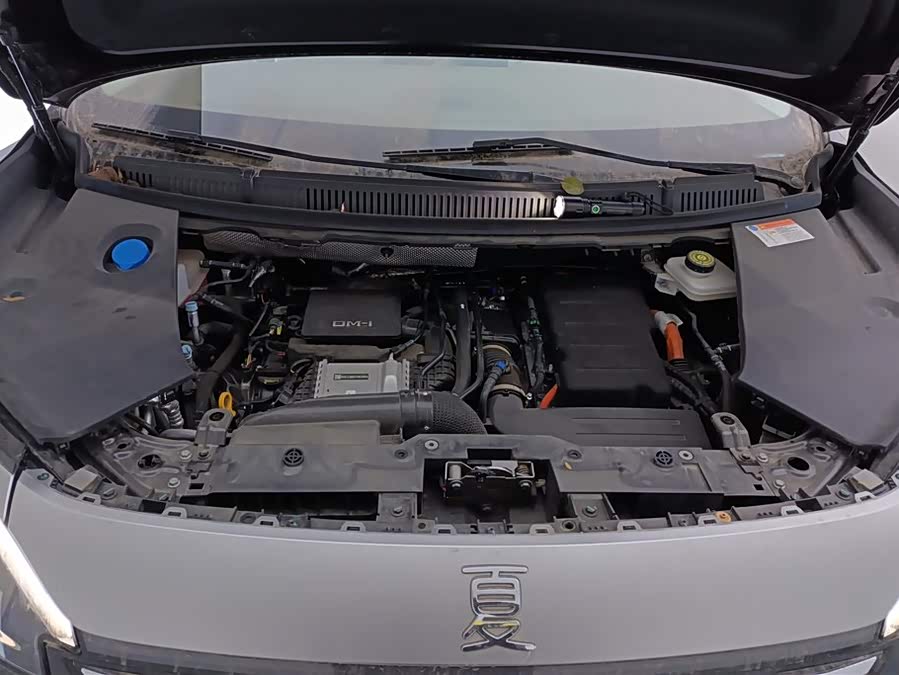 BYD Xia 2024 imagen de coche #11