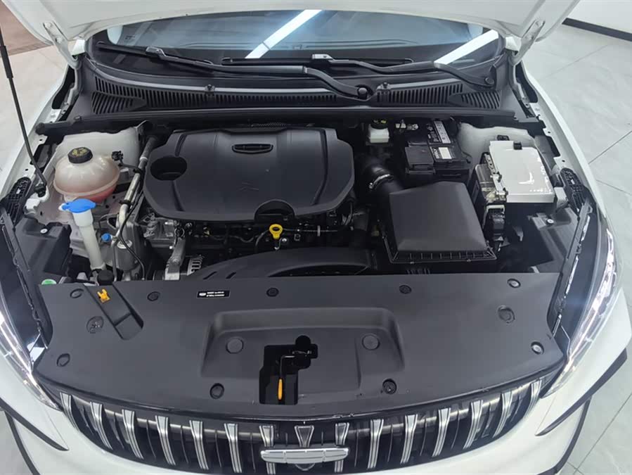 GEELY Binray 2024 car image #11