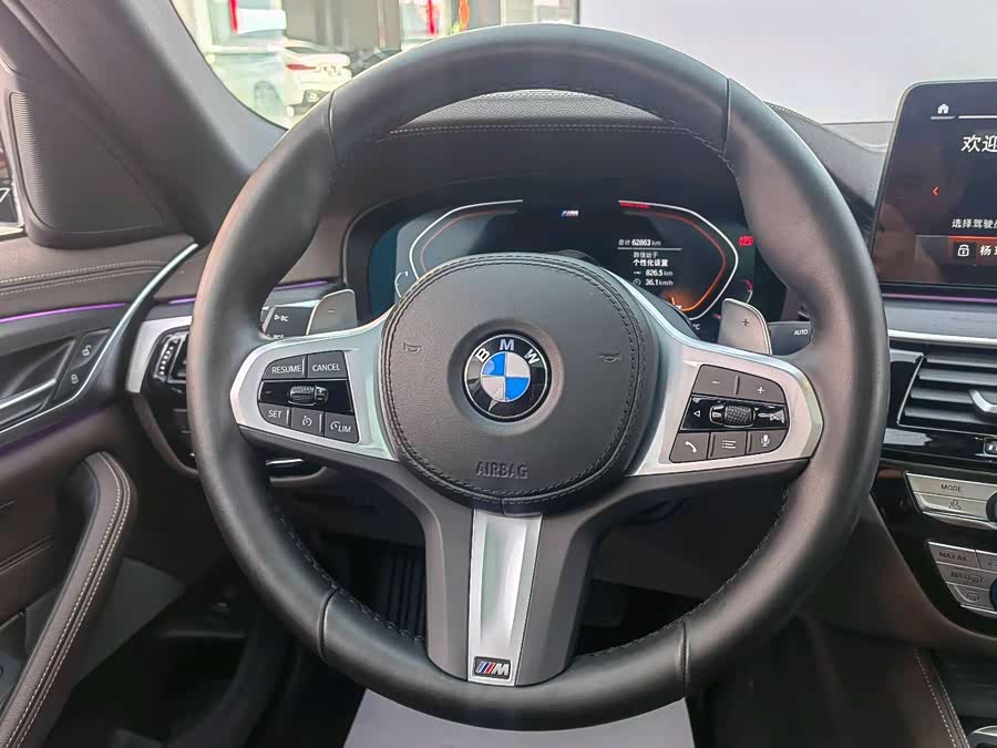 BMW 5 Series 2022 car image #11