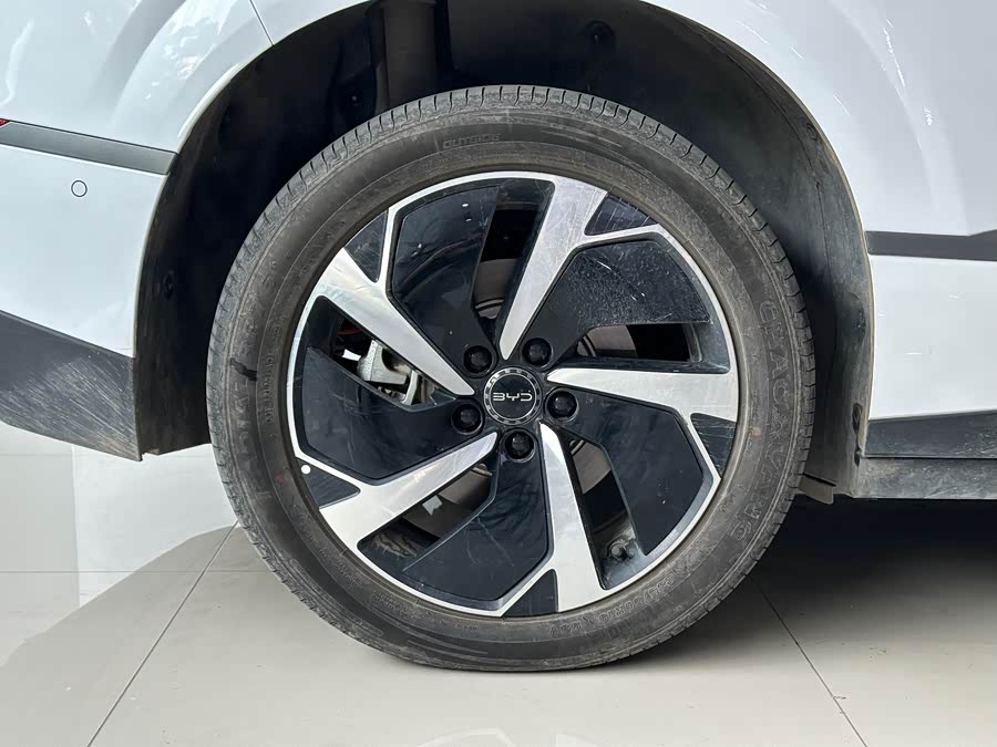 BYD Sea Lion 06 New Energy 2025 car image #11