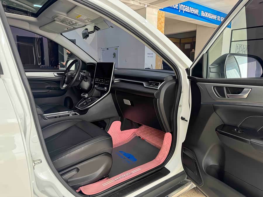 Haval M6 2021 car image #11