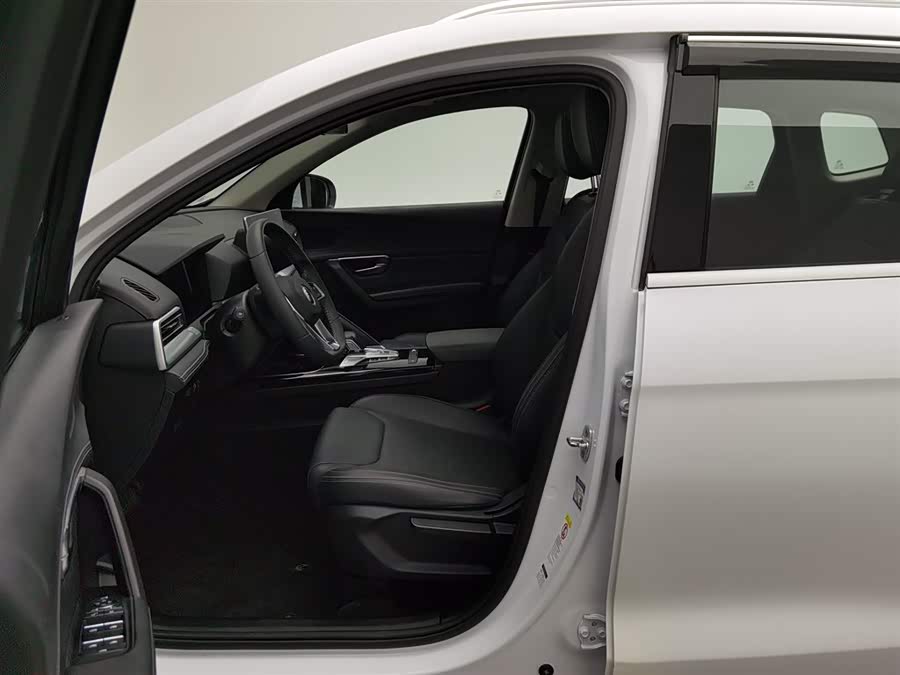 BYD Song Pro 2020 immagine di auto #11